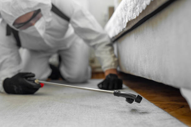 Professional Bed Bug Control technician working in Greene County County, VA